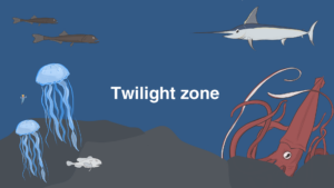 Twilight zone